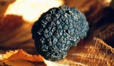 black truffles